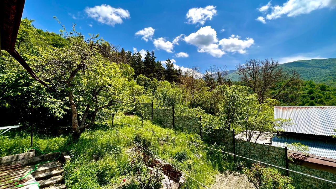 Mountain Top Getaway In Dilijan! Esterno foto